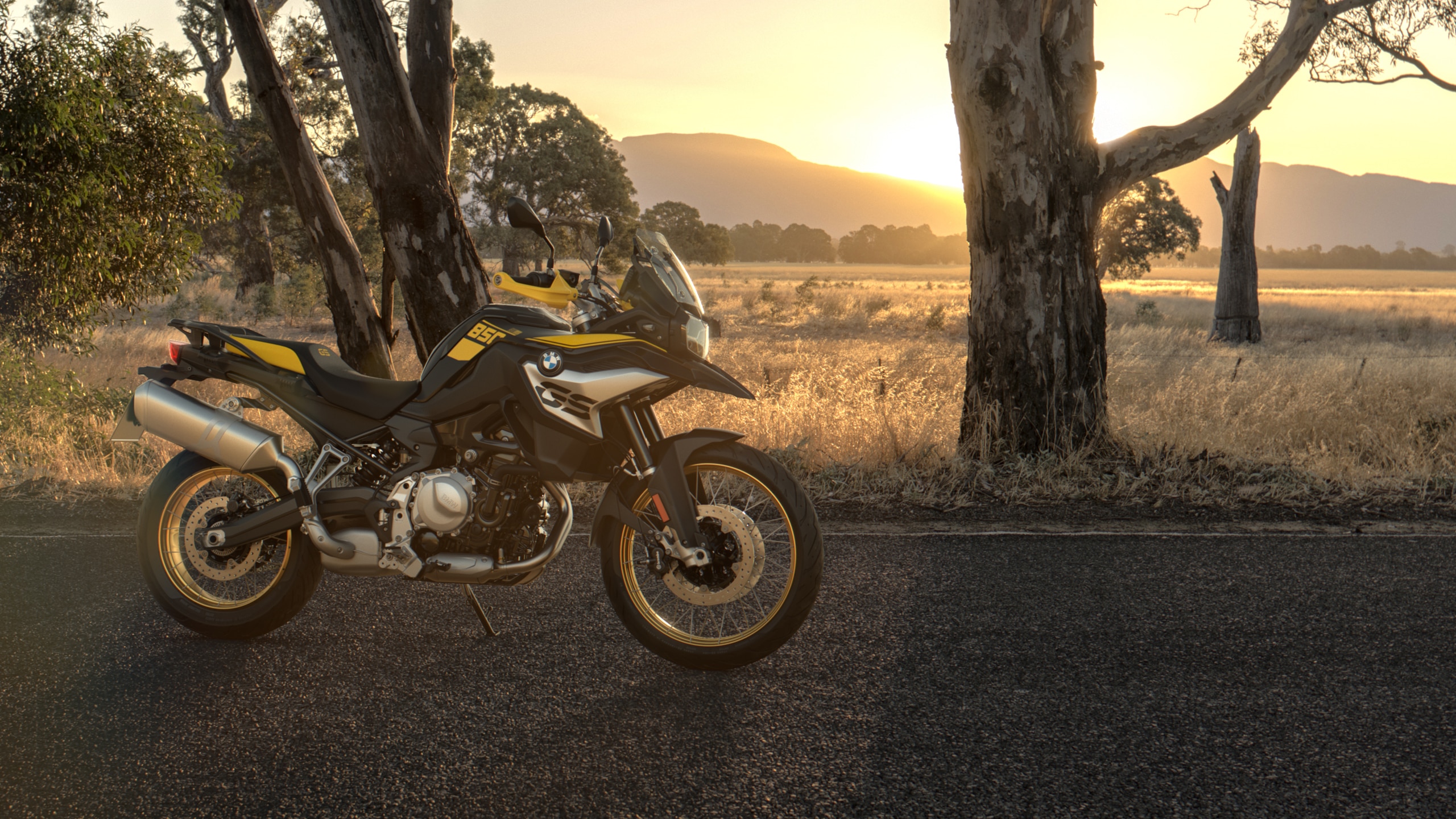 F 850 gs 40 years on sale